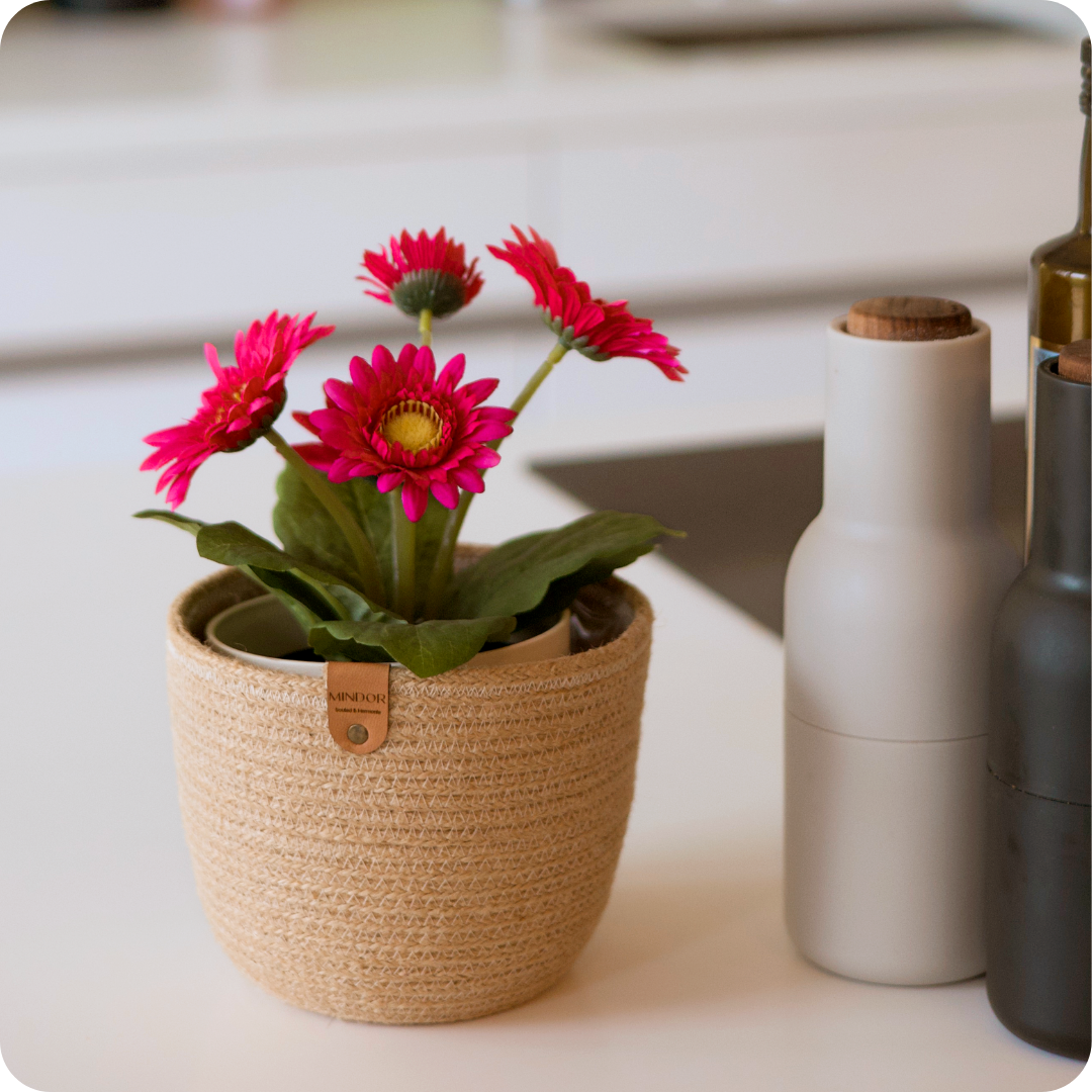 Dárek k nákupu – květináč LOSSA